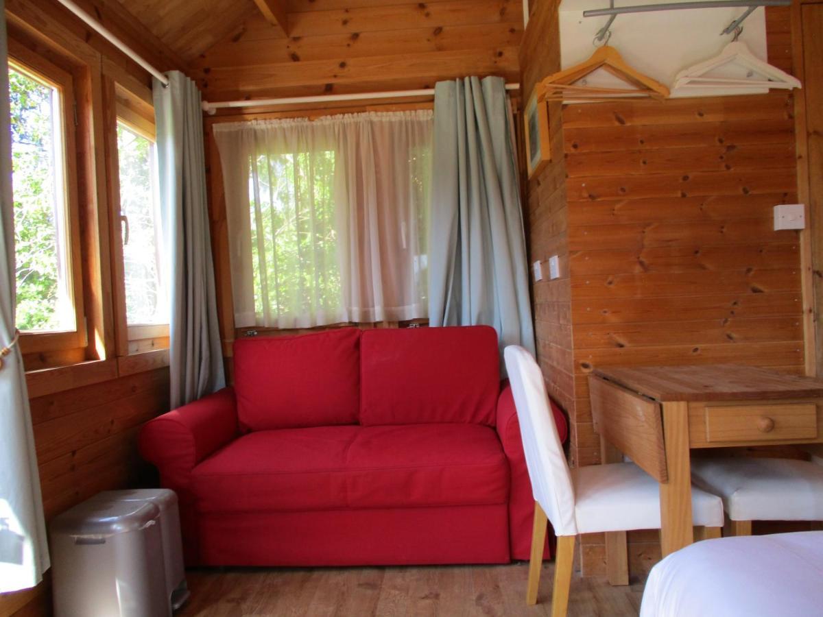 Chestfield Hillview Bed And Breakfast מראה חיצוני תמונה