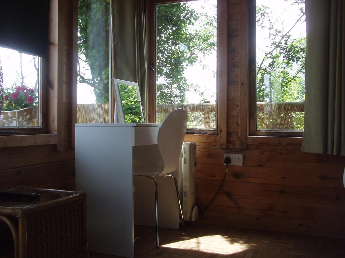 Chestfield Hillview Bed And Breakfast מראה חיצוני תמונה